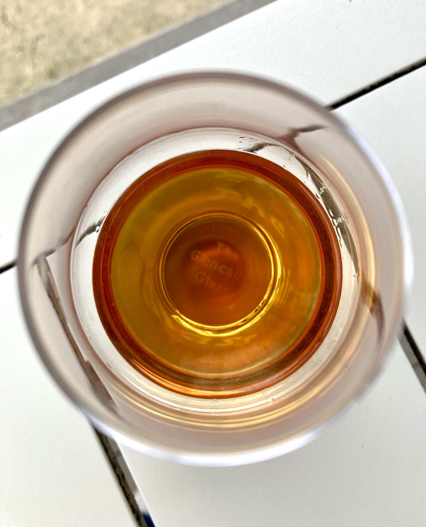 Quercus Alba – PRE-ORDER