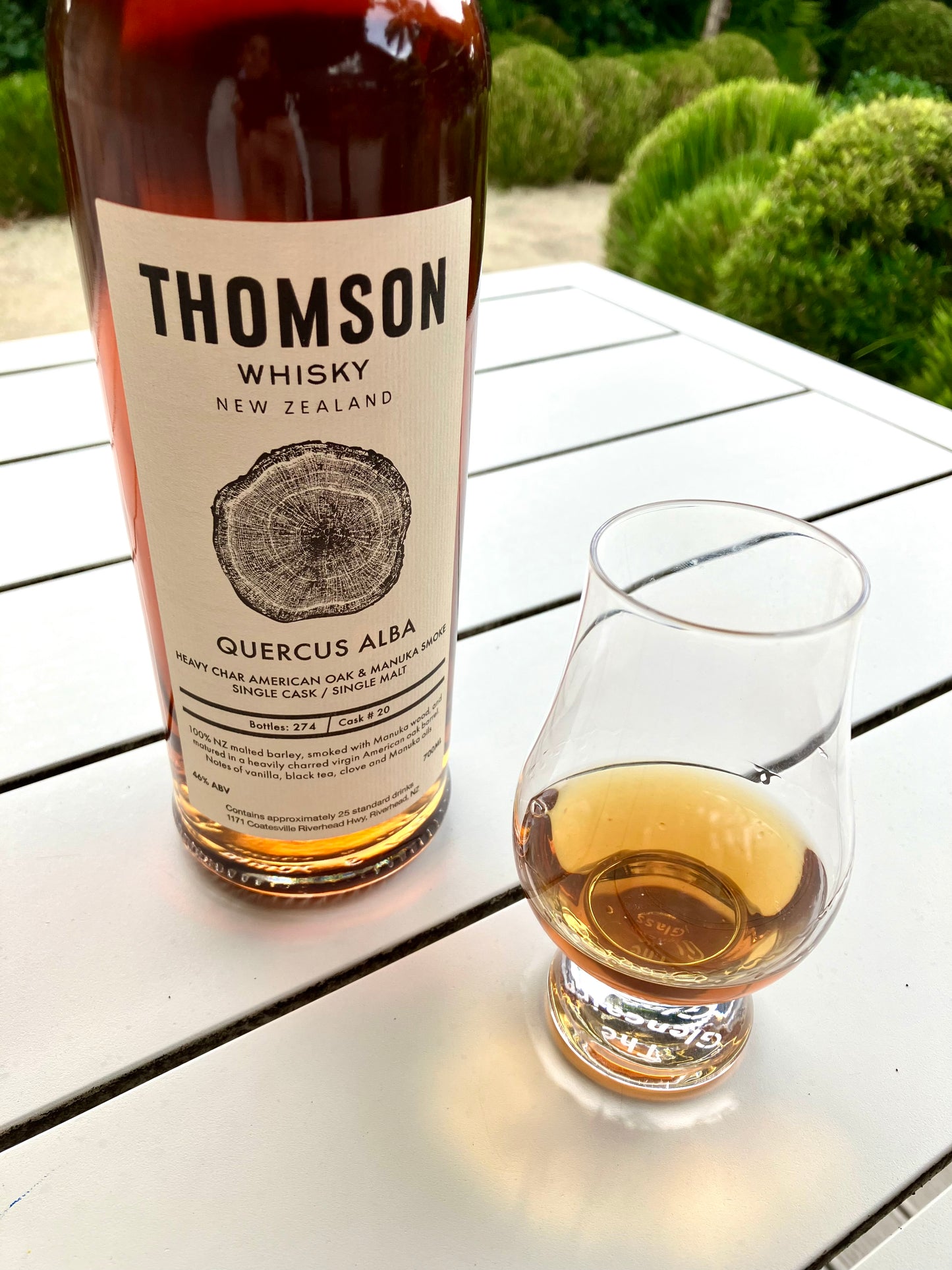 Quercus Alba – PRE-ORDER