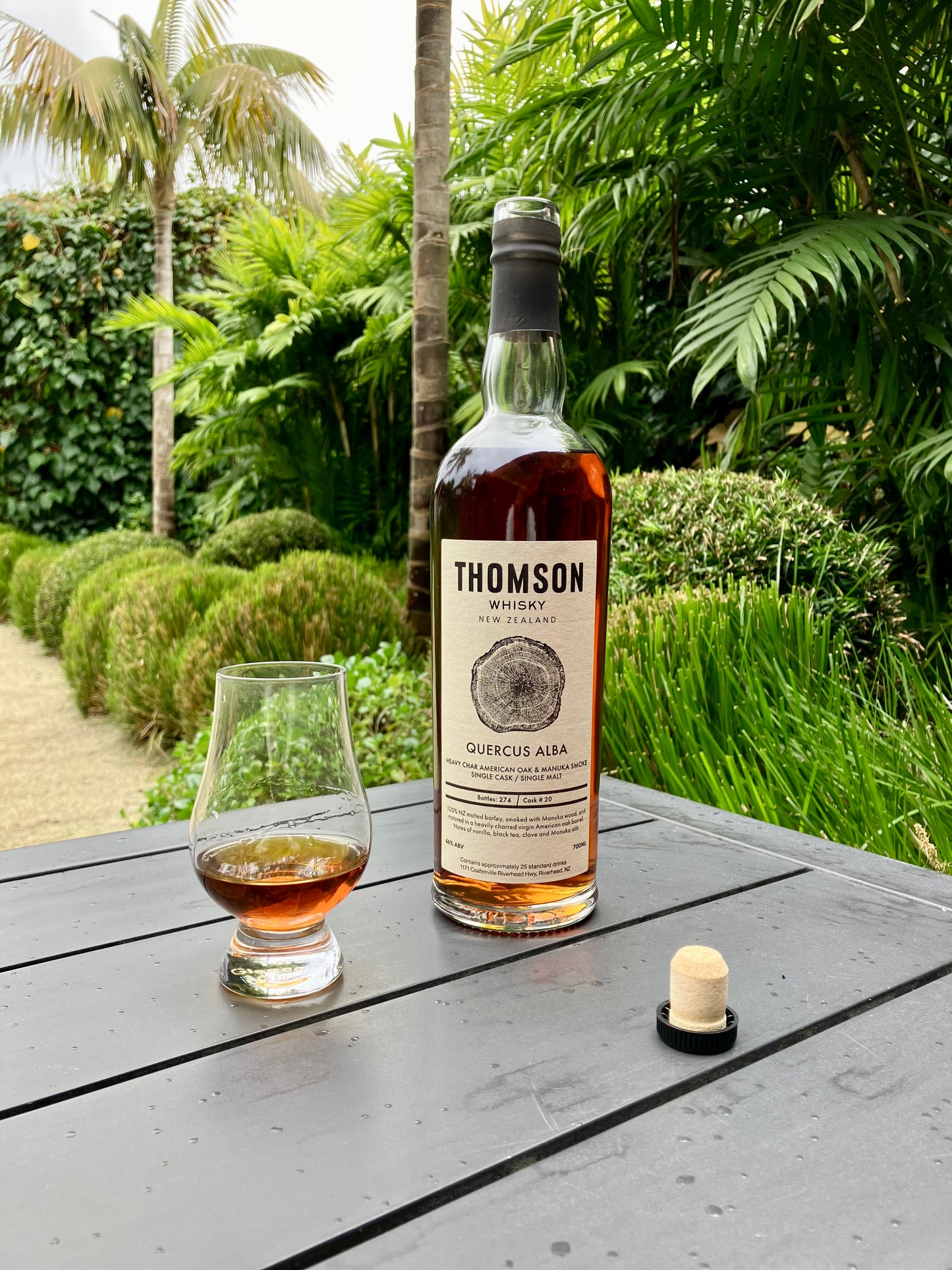 Quercus Alba – PRE-ORDER